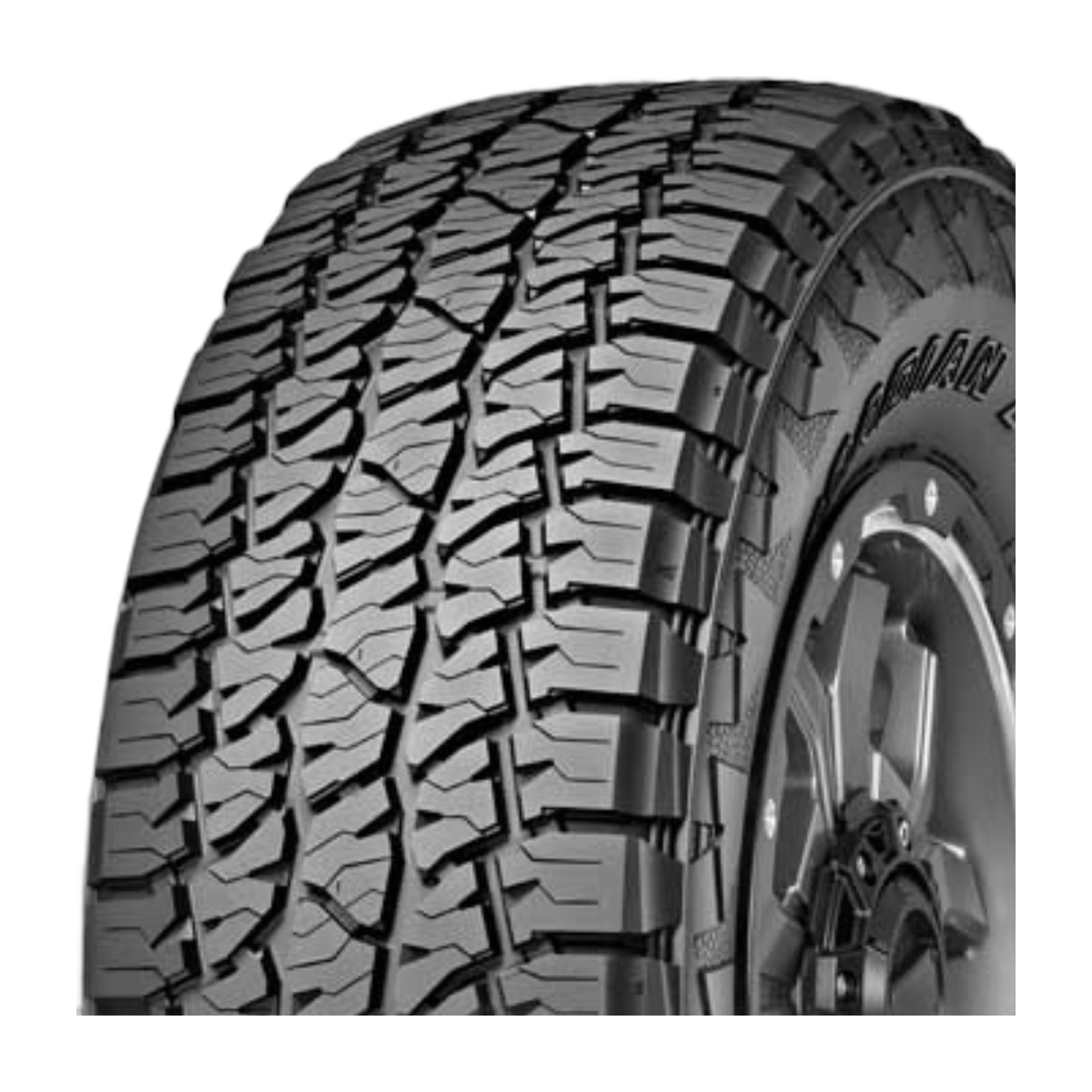 NEXEN ATX 225/55R18 - imagen 3